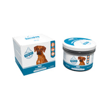 Topvet Proszek MSM Dla Psów Na Stawy, Chrząstki i Więzadła 100 g