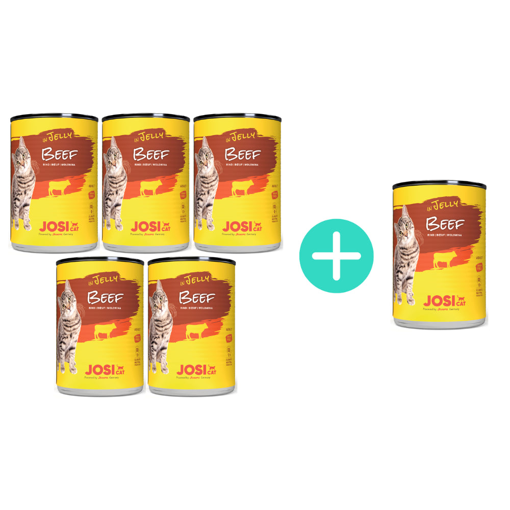 Pakiet Josera Josicat Mokra Karma Dla Kota Wołowina w Galarecie 5 x 400 g + 1 Puszka Gratis!