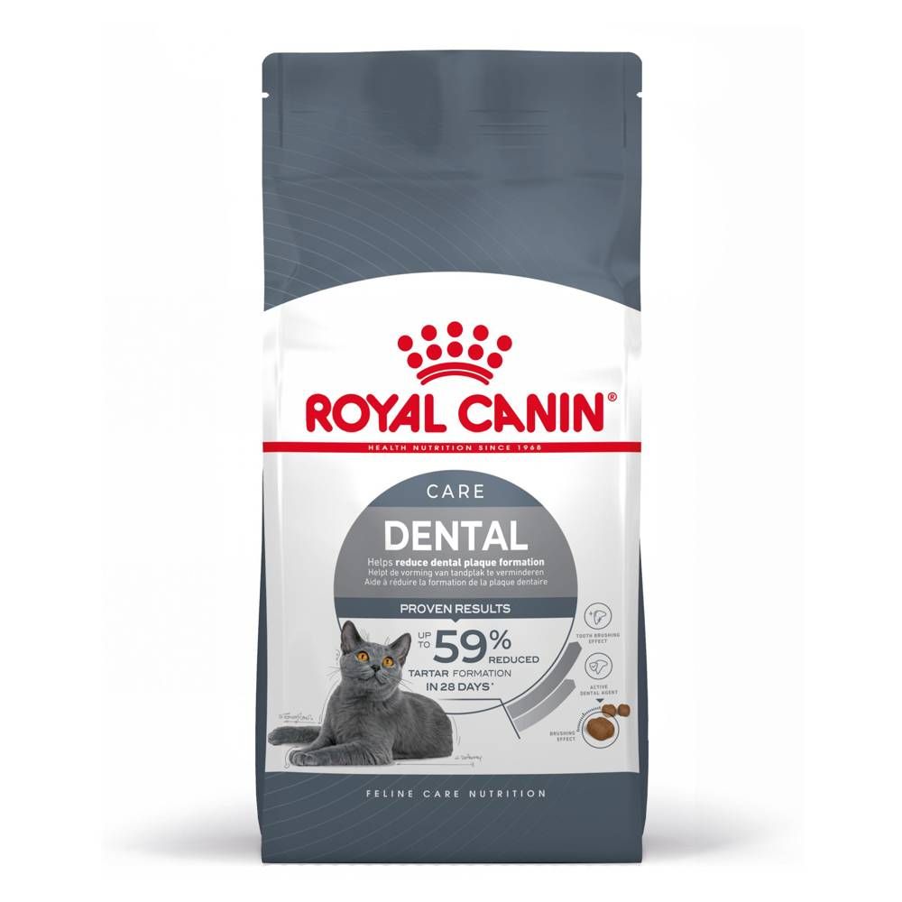 ROYAL CANIN Dental Care 8kg karma sucha dla kotów dorosłych, redukująca odkładanie kamienia nazębnego