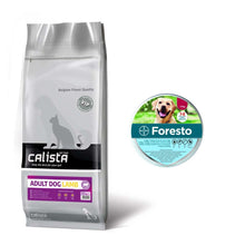 Pakiet Calista Adult Jagnięcina 12 kg + Bayer Foresto powyżej 8 kg 10% taniej