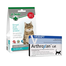 Pakiet Arthroxan Preparat Dla Kotów Dorosłych i Kociąt Wspomagający Prawidłowy Rozwój Kośćca I Funkcjonowanie Układu Ruchu 30 Tabletek + Dr Seidel Smakołyki Dla Kotów Seniorów 50 g GRATIS!