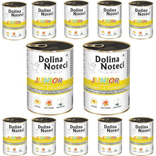 Pakiet Dolina Noteci Premium Żołądki z Kurczaka Junior 12 x 400 g