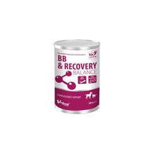VETFOOD BB RECOVERY BALANCE 500g