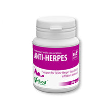 Vetfood Anti Herpes Preparat Wspierający Układ Odpornościowy u Kotów 6&#65279;0 g Proszek
