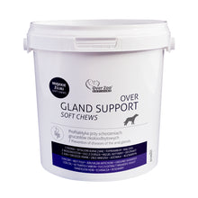 Over Gland Support Soft Chews Wsparcie Przy Schorzeniach Gruczołów Okołoodbytowych u Psów 450 g