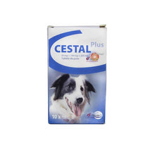 Cestal Plus Flavour dla Psów na Odrobaczanie 10 Tabletek