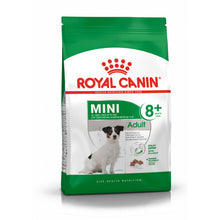 ROYAL CANIN Mini Adult +8  Karma Sucha Dla Psów Starszych Od 8 Do 12 Roku Życia Ras Małych 8 kg