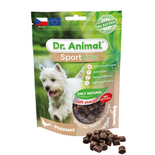 Brit Dr. Animal Sportline Pheasant Bażant Przysmak Dla Psa 100 g