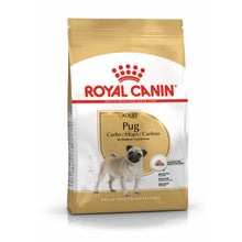 ROYAL CANIN Pug Adult Karma Sucha Dla Psów Dorosłych Rasy Mops 1,5 kg
