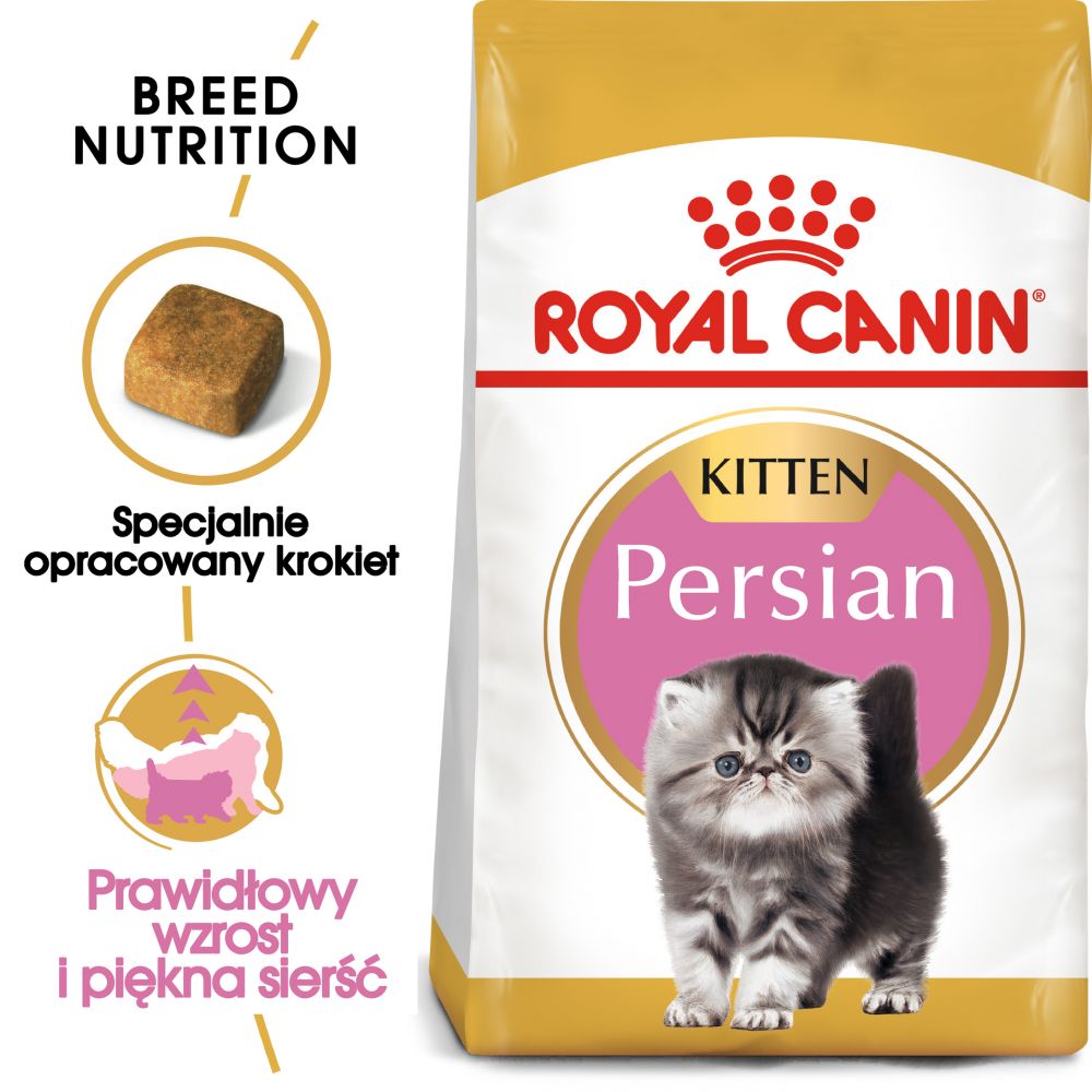 ROYAL CANIN FBN Persian Kitten Karma Sucha Dla Kociąt Do 12 Miesiąca Życia Rasy Perskiej 10 kg