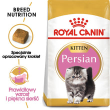 ROYAL CANIN FBN Persian Kitten Karma Sucha Dla Kociąt Do 12 Miesiąca Życia Rasy Perskiej 10 kg