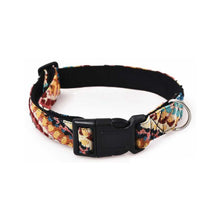 Barry King Obroża Dla Psa Boho 1,9 cm x 35-50 cm