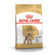 ROYAL CANIN Poodle Adult karma sucha dla psów dorosłych rasy pudel miniaturowy 1,5 kg