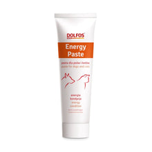 Dolfos Energy Paste Dla Psów i Kotów w Okresie Rekonwalescencji 100 g