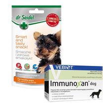 Pakiet Immunoxan Dog Preparat Dla Szczeniąt i Dorosłych Psów Wspomagający Prawidłowe Odżywianie 60 Tabletek + Dr Seidel Smakołyki Zdrowie Szczeniąt 90 g GRATIS!