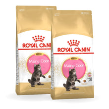 Pakiet ROYAL CANIN Maine Coon Kitten Karma Sucha Dla Kociąt Do 15 Miesiąca Rasy Maine Coon 2 x 2 kg