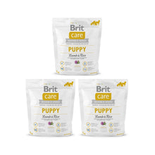 Pakiet Brit Care Lamb & Rice Jagnięcina & Ryż Puppy All Breed Karma Dla Szczeniąt Wszystkich Ras 3 x 1 kg