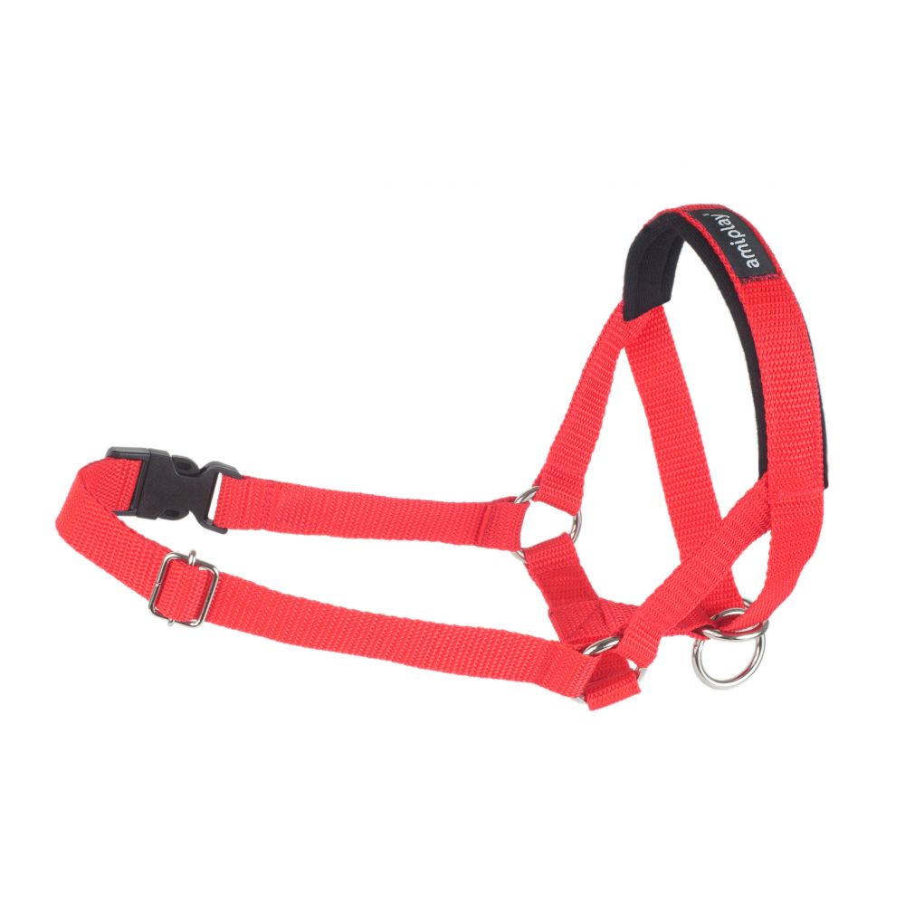 Amiplay Halter Basic Rozmiar M Czerwony
