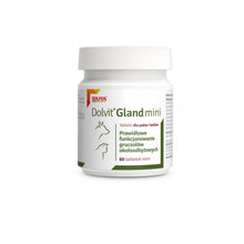 Dolvit Gland Prawidłowe Funkcjonowanie Gruczołów Mini 60 Tabletek