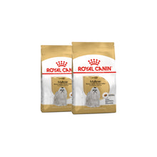 Pakiet ROYAL CANIN Maltese Adult Karma Sucha Dla Psów Dorosłych Rasy Maltańczyk 2 x 1,5 kg