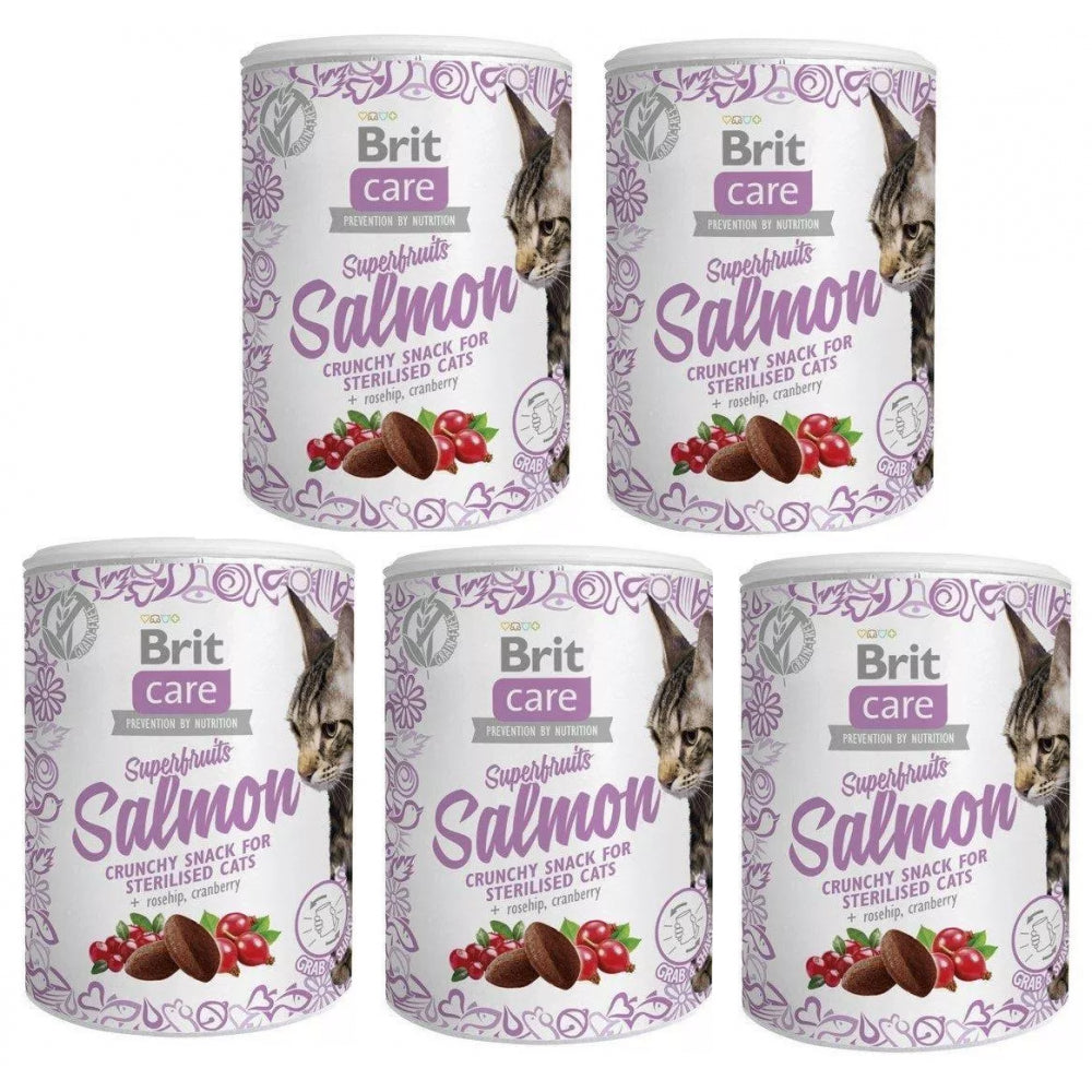 Pakiet Przysmaków  Brit Care Snack Superfruits Salmon Łosoś Sterilised  Przekąska Dla Kota 5 x 100 g