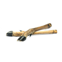 Petmex Racica Sarny Gryzak Naturalny Dla Psa 5 Sztuk