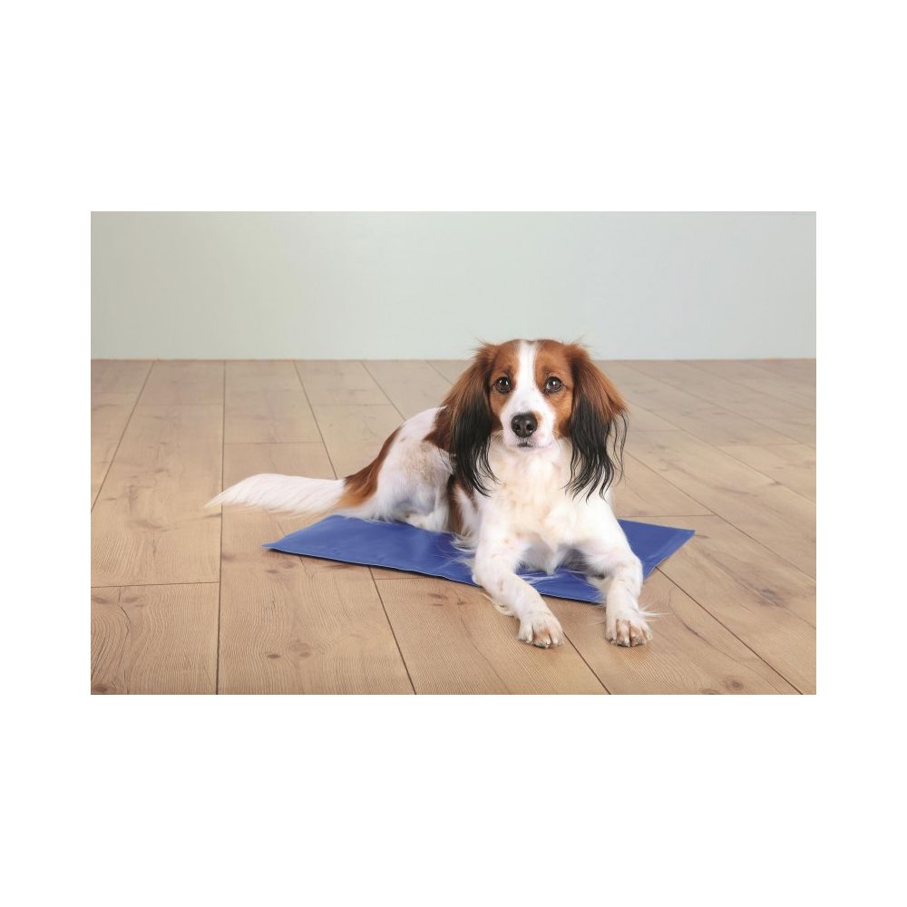 Trixie Mata Chłodząca 65x50 cm