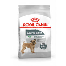 ROYAL CANIN CCN Mini Dental Care Karma Sucha Dla Psów Dorosłych Ras Małych Redukująca Powstawanie Kamienia Nazębnego 3 kg