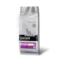Lincoln Calista Jagnięcina Adult Dog 3 kg
