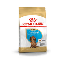ROYAL CANIN Dachshund Junior Jamnik Szczeniak 1,5kg