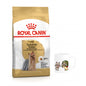Pakiet ROYAL CANIN Yorkshire Terrier Adult Karma Sucha Dla Psów Dorosłych Rasy Yorkshire Terrier 3 kg + Kubek z Twoim Pupilem !