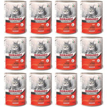 Pakiet Morando Pro Mokra Karma Dla Kota Pasztet Z Łososiem 12 x 400 g