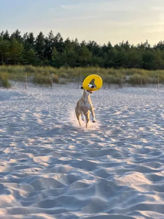 Fiboo Frisbee Frisboo żółty