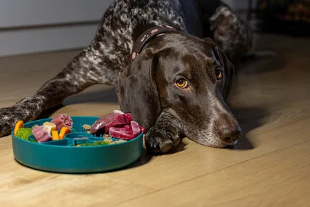 Fiboo Slow Fiboowl Spowalniacz jedzenia c.zielony