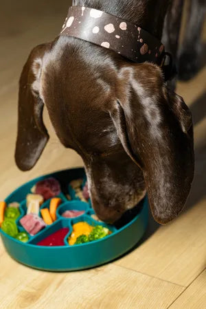 Fiboo Slow Fiboowl Spowalniacz jedzenia c.zielony