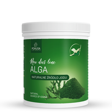 Pokusa RawDietLine Alga Multiwitamina Naturalnego Pochodzenia Dla Psów i Kotów 350 g