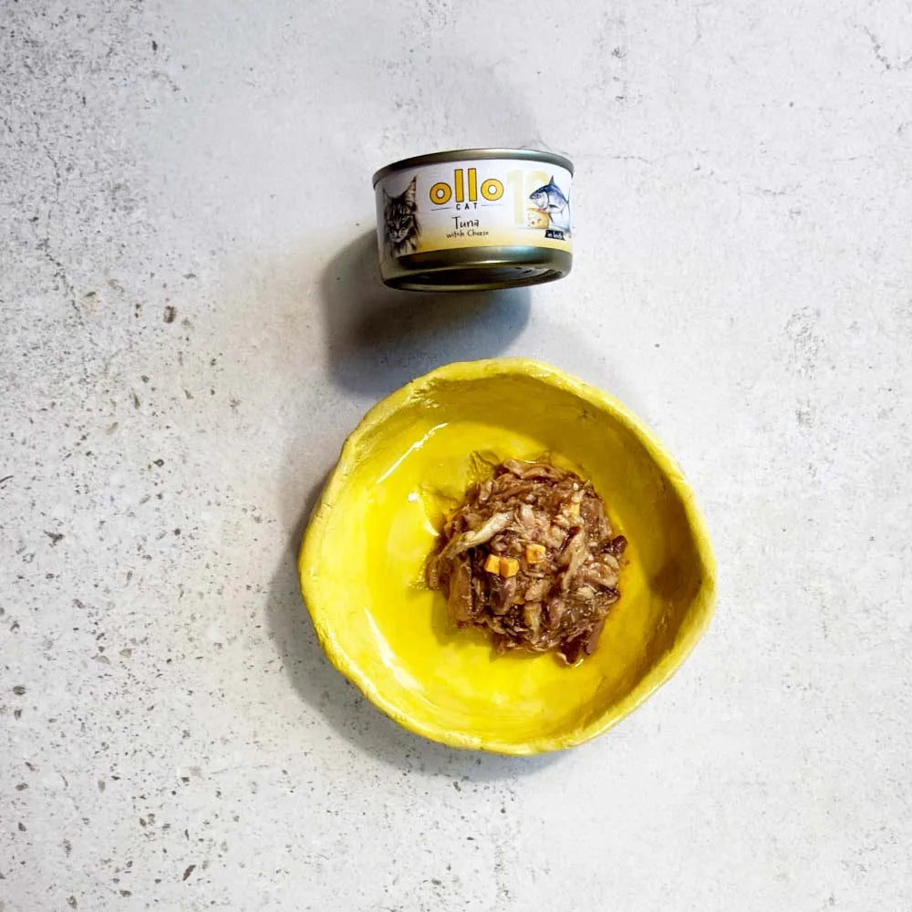 Ollo Cat nr 10 Tuńczyk z Serem 70g karma mokra dla kota