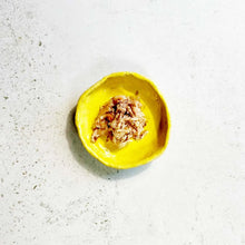 Ollo Cat nr 12 Tuńczyk i Kurczak z Krewetkami w galaretce 70g karma mokra dla kota