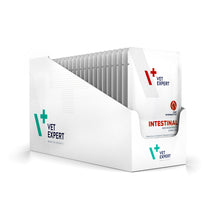VET EXPERT 4t VD Intestinal Cat 12x100g