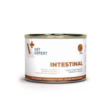 VET EXPERT 4t VD Intestinal Dog 200g