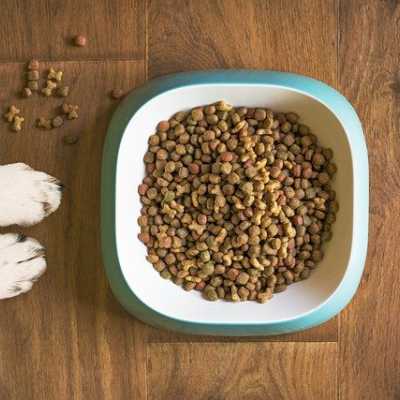 Jak czytać skład karmy dla psów na etykiecie?