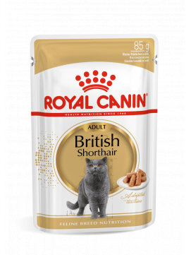 ROYAL CANIN British Shorthair Adult Saszetka Karma Mokra W Sosie Dla Kotów Dorosłych Rasy Brytyjski Krótkowłosy 85 g