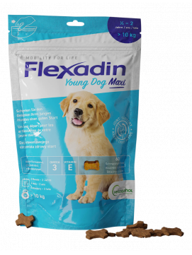 Vetoquinol Flexadin Young Dog Maxi Na Wsparcie Stawów 60 Tabletek