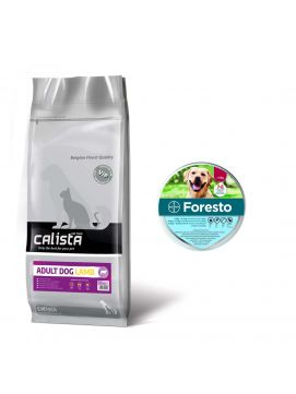 Pakiet Calista Adult Jagnicina 12 kg + Bayer Foresto powyej 8 kg 10% taniej