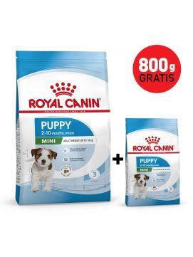 Pakiet Royal Canin Mini Puppy 4 kg + 800 g Gratis!