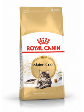 ROYAL CANIN Maine Coon Adult Karma Sucha Dla Kotów Dorosłych Rasy Maine Coon 400 g