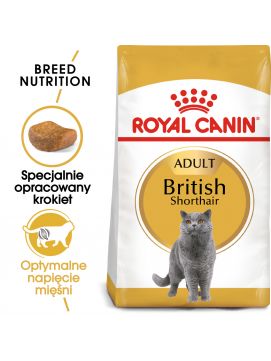ROYAL CANIN British Shorthair  Karma Sucha Dla Kotów Dorosłych Rasy Brytyjski Krótkowłosy 2 kg