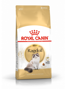 ROYAL CANIN Ragdoll Adult Karma Sucha Dla Kotw Dorosych Rasy Ragdoll 10 kg