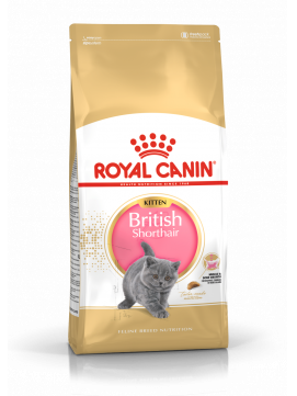 ROYAL CANIN British Shorthair KittenKarma Sucha Dla KocitDo 12 miesica Rasy Brytyjski Krtkowosy 2 kg