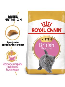 ROYAL CANIN British Shorthair Kitten Karma Sucha Dla Kociąt Do 12 miesiąca Rasy Brytyjski Krótkowłosy 2 kg